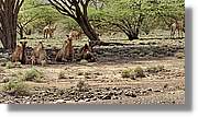 3-Turkana_092.jpg