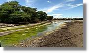 3-Turkana_095.jpg