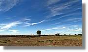 3-Turkana_096.jpg