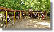 3-Turkana_115.jpg