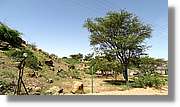 3-Turkana_132.jpg