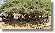 3-Turkana_141.jpg