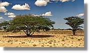 3-Turkana_153.jpg