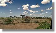 3-Turkana_155.jpg