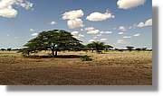 3-Turkana_156.jpg