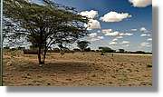 3-Turkana_157.jpg