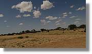 3-Turkana_161.jpg