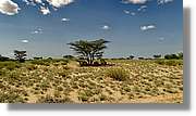 3-Turkana_162.jpg