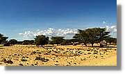 3-Turkana_164.jpg