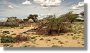 3-Turkana_175.jpg