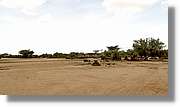 3-Turkana_176.jpg