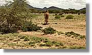 3-Turkana_179.jpg