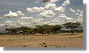 3-Turkana_183.jpg