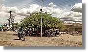 3-Turkana_195.jpg