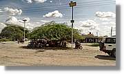 3-Turkana_198.jpg