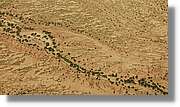 3-Turkana_211.jpg