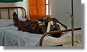 1-Lodwar_066.jpg