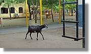 1-Lodwar_079.jpg