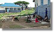1-Lokitaung_178.jpg
