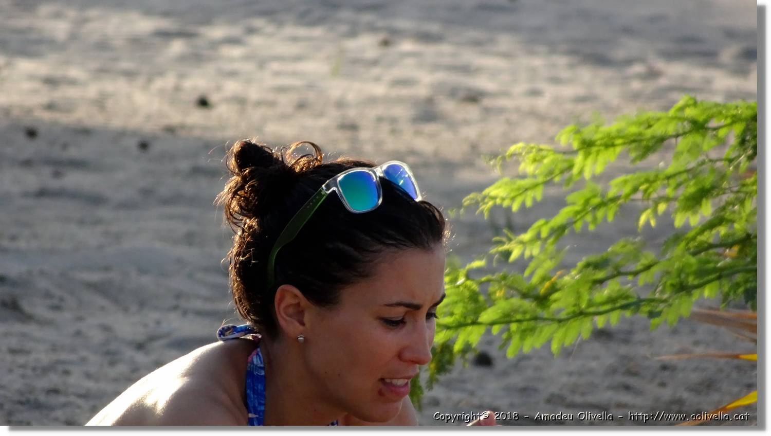 Platja_029.jpg