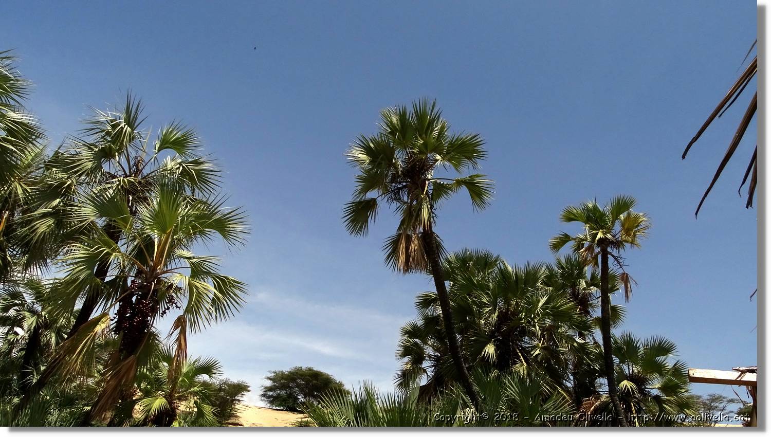 Platja_196.jpg